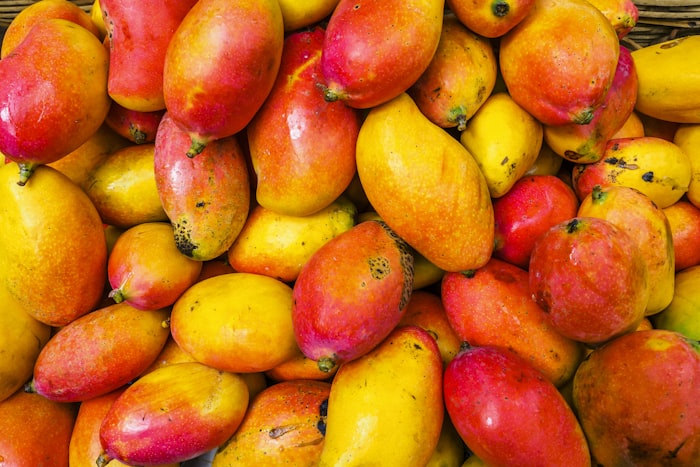 Bunte Auswahl reifer Mangos und Früchte