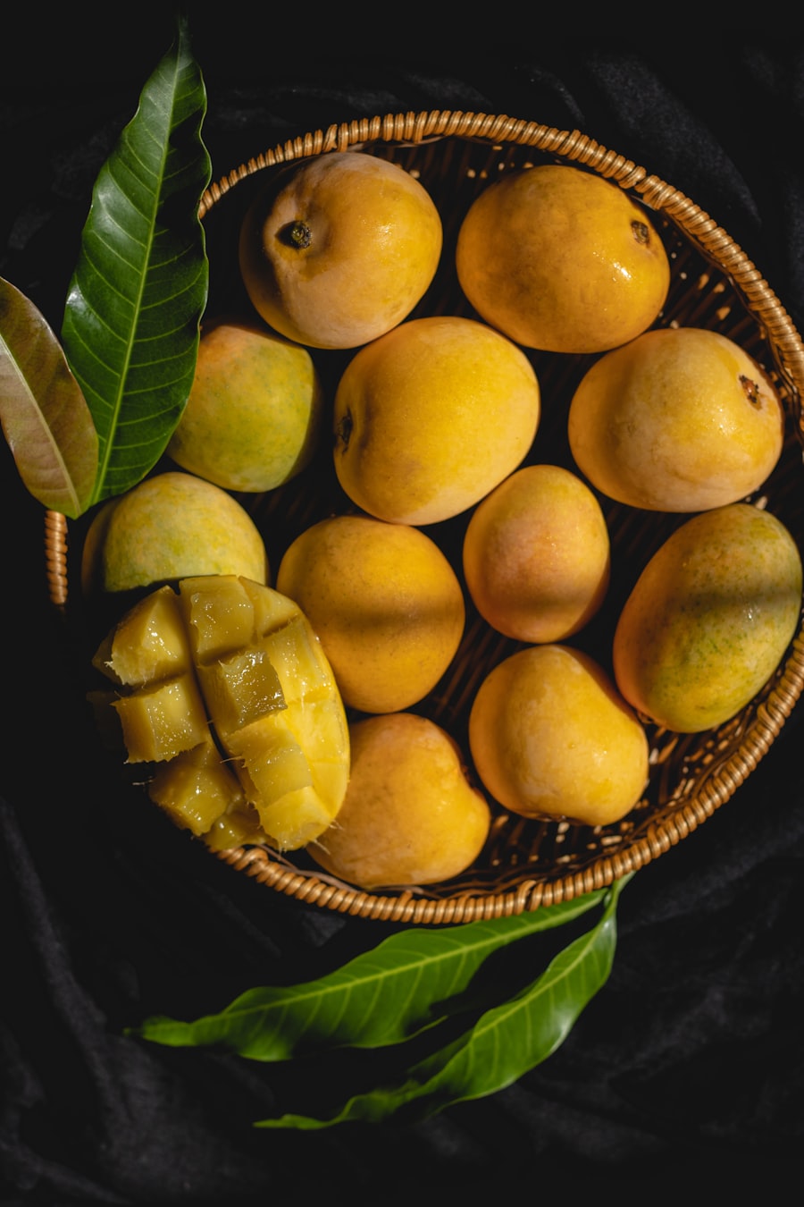 Korb mit frisch geernteten Mangos von der Finca